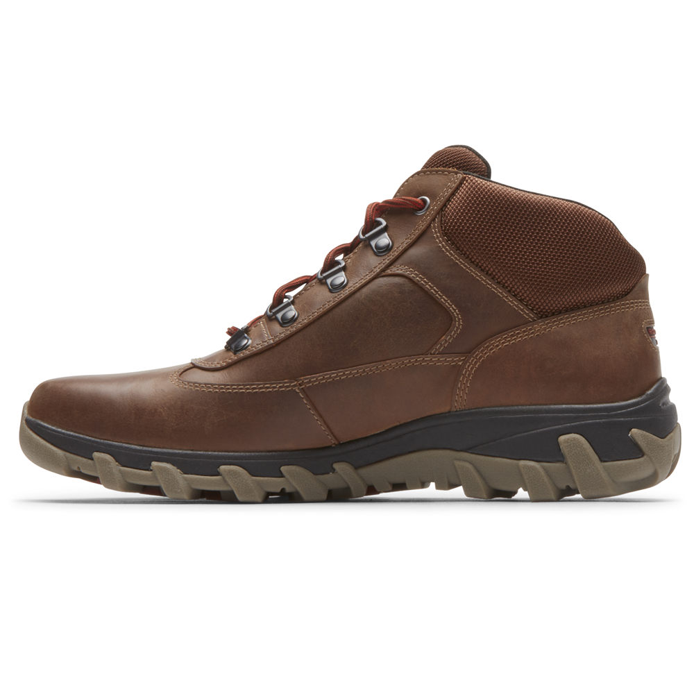 Botas Rockport Homem Marrom - Cold Springs Plus Waterproof Chukka - 25861TSPW